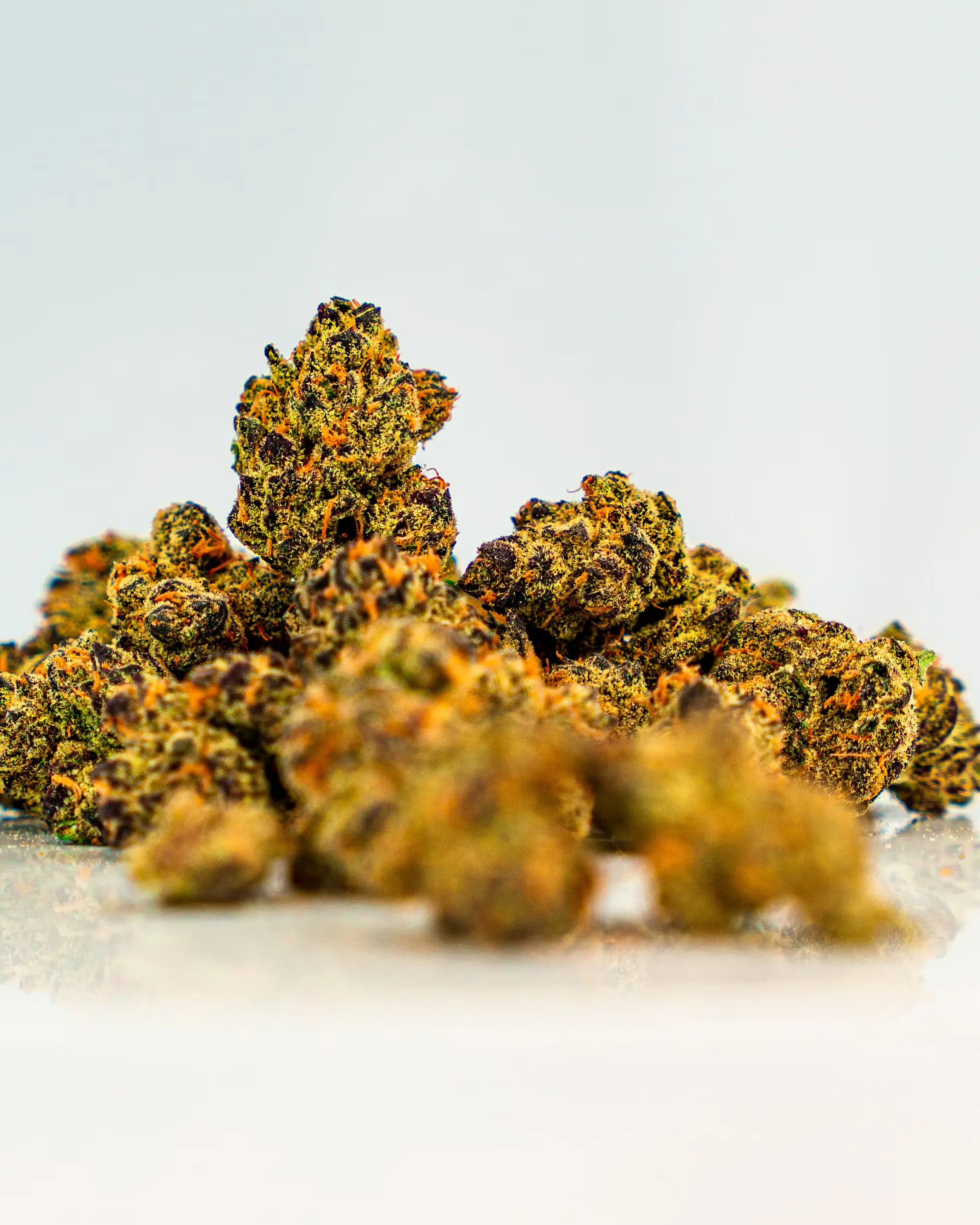 T. Smith & Associates